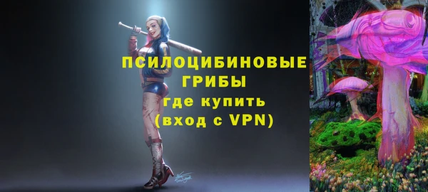 PSILOCYBIN Балабаново