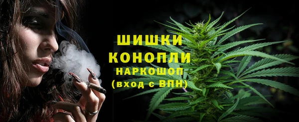 PSILOCYBIN Балабаново